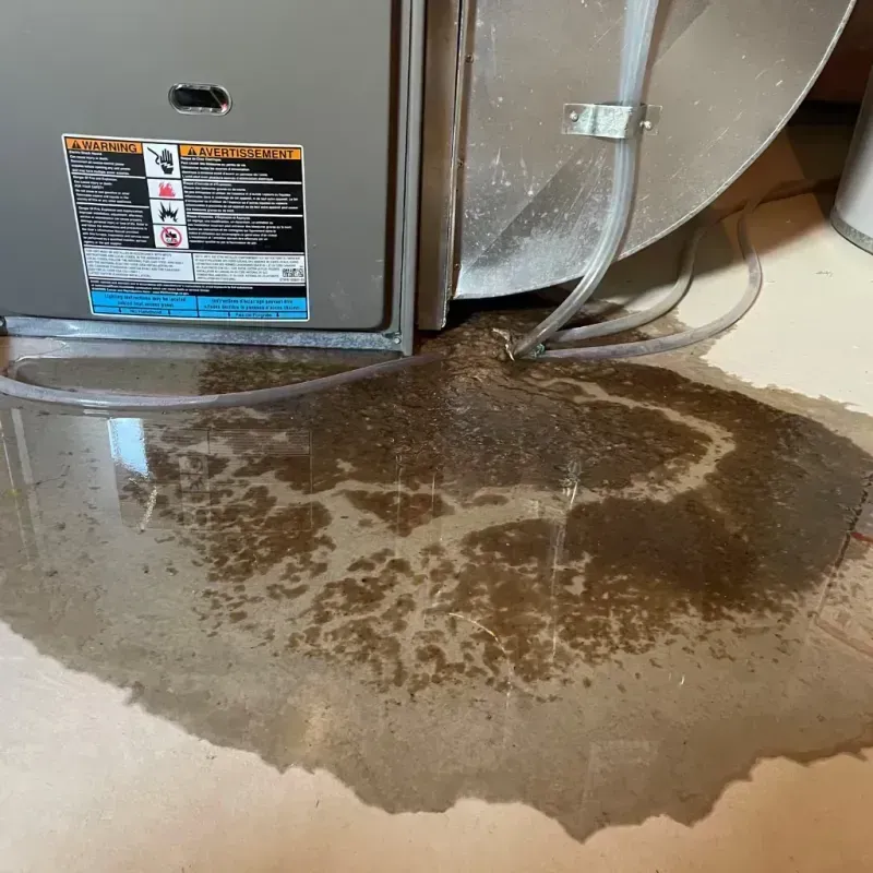 Appliance Leak Cleanup in Onawa, IA